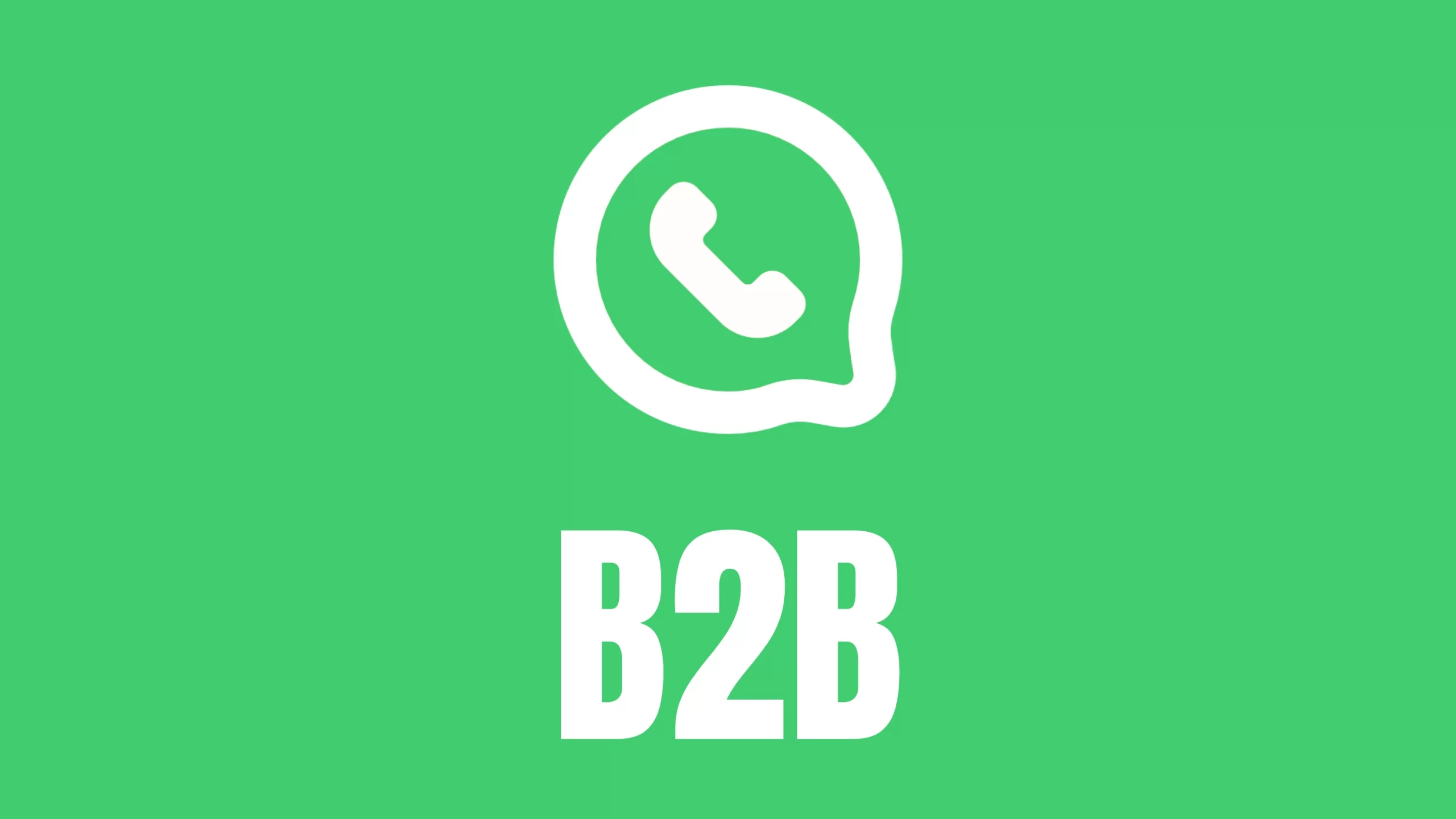 WhatsApp B2B